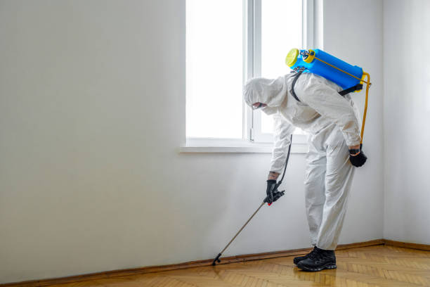 Best Affordable Pest Control Services  in Deerfield, WI
