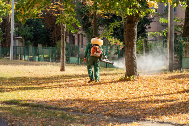 Professional Pest Control in Deerfield, WI