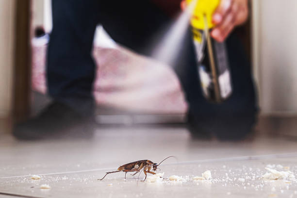 Pest Prevention Services in Deerfield, WI