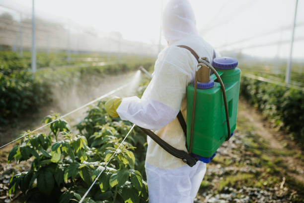 Best Wasp Removal Services  in Deerfield, WI